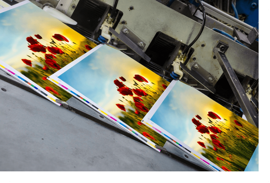 A row of prints being printed on the printing press.